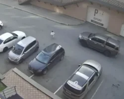 ГИБДД Хакасии сообщает о ДТП с Toyota Hilux в Абакане и других городах gibdd hakasii soobshhaet o dtp s v abakane i drugih gorodah-signaldaily-ru-0