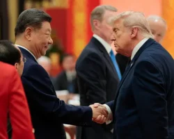 Как Трамп и Си Цзиньпин жестами подают важные сигналы kak tramp i si czzinpin zhestami podayut vazhnye signaly-signaldaily-ru-0