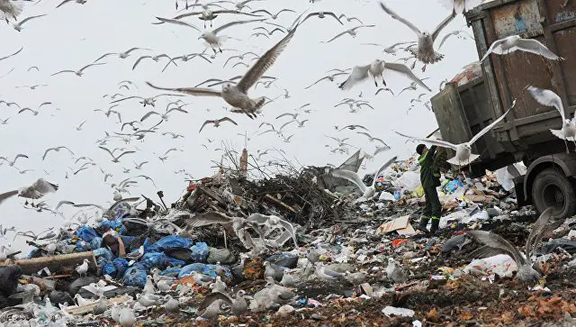 scientificrussia.ru