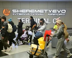 puteshestvie cherez sheremetevo domodedovo i vnukovo komfortnee-signaldaily-ru-0