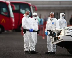 rospotrebnadzor hantavirus ne ugrozhaet rossiyanam-signaldaily-ru-0