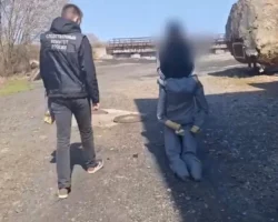 sledkom primorya vozbudil delo ob ubijstve v hasane v 2026 godu-signaldaily-ru-0