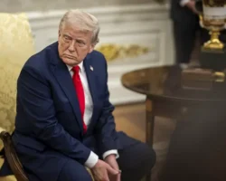 Трамп: Ученые из США успешно изучают хантавирус, контроль обеспечен tramp uchenye iz ssha uspeshno izuchayut hantavirus kontrol obespechen-signaldaily-ru-0