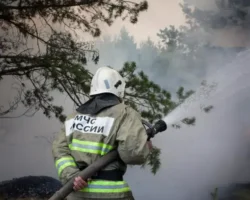 Тыва успешно борется с огнем, Минлесхоз сократил пожары в 5 раз tyva uspeshno boretsya s ognem minleshoz sokratil pozhary v 5 raz-signaldaily-ru-0