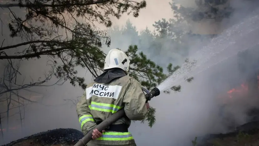 Площадь лесных пожаров в Тыве снизилась почти в пять раз за сутки