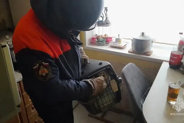 Вводная картинка