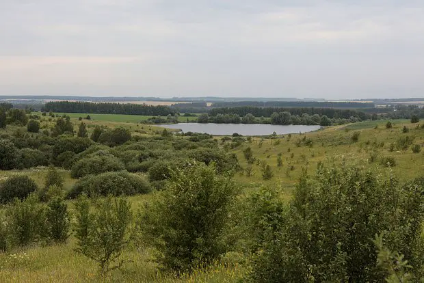 Вводная картинка
