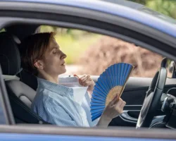 burnaczkaya i frolenko rasskazali o teplovom udare i ego profilaktike-signaldaily-ru-0