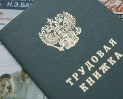letom snizhaetsya konkurencziya na rynke truda  mnenie assocziaczii-signaldaily-ru-0