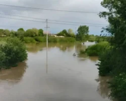 vladimirov o chs v minvodah i levokumke  neobhodima srochnaya pomoshh-signaldaily-ru-0