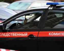 gsu sk po sanktpeterburgu vozbudilo delo o gibeli dvuh detej v pozhare-signaldaily-ru-0