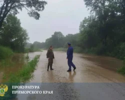 Прокуратура Приморья контролирует восстановление дорог и света prokuratura primorya kontroliruet vosstanovlenie dorog i sveta-signaldaily-ru-0