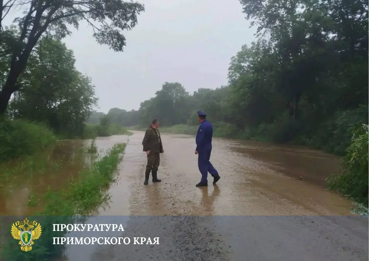 Прокуратура контролирует восстановление проездов и электроснабжения в Приморье пресс-служба прокуратуры Приморского края
