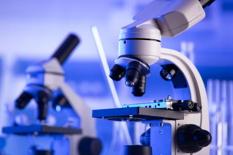 scientificrussia.ru