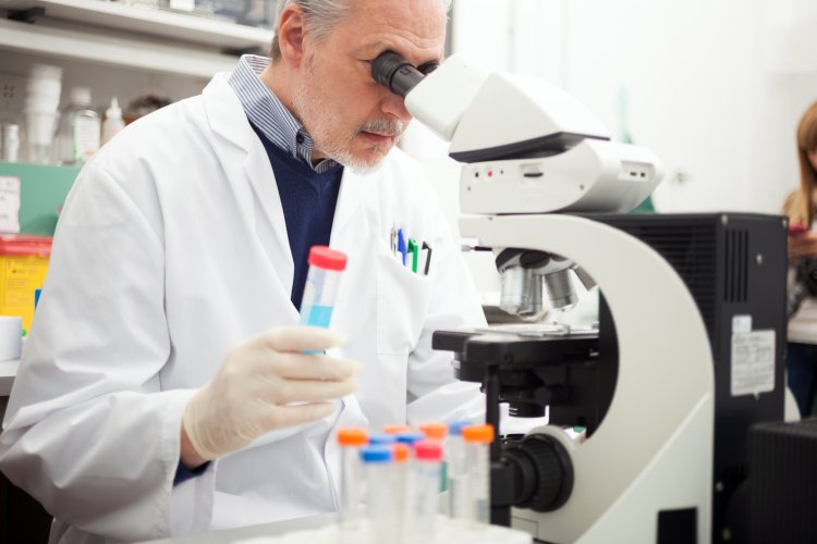 scientificrussia.ru