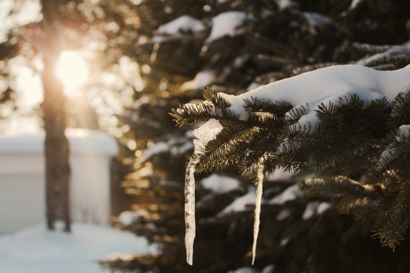 Фото: primamedia.ru