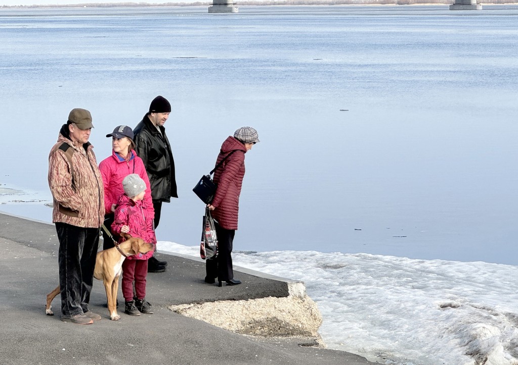 Стала известна причина низкого уровня воды в Волге