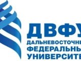 ДВФУ и ТИБОХ ДВО РАН открыли уникальный морской гриб на Сахалине dvfu i tiboh dvo ran otkryli unikalnyj morskoj grib na sahaline-mynewton-ru-0