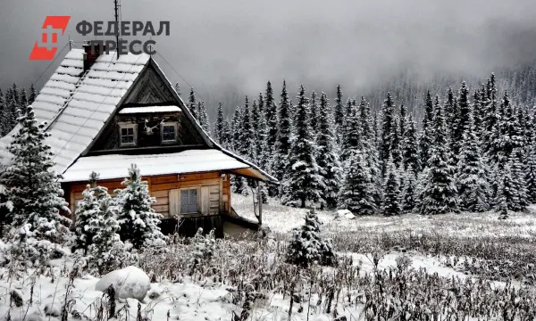 Алюминиевая Ассоциация предлагает надежные снегозадержатели для крыши-0