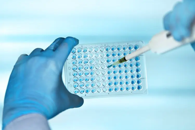 scientificrussia.ru