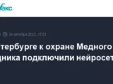 Юлия Смирнова внедряет нейросети для защиты Медного всадника в Петербурге yuliya smirnova vnedryaet nejroseti dlya zashhity mednogo vsadnika v peterburge-mynewton-ru-0