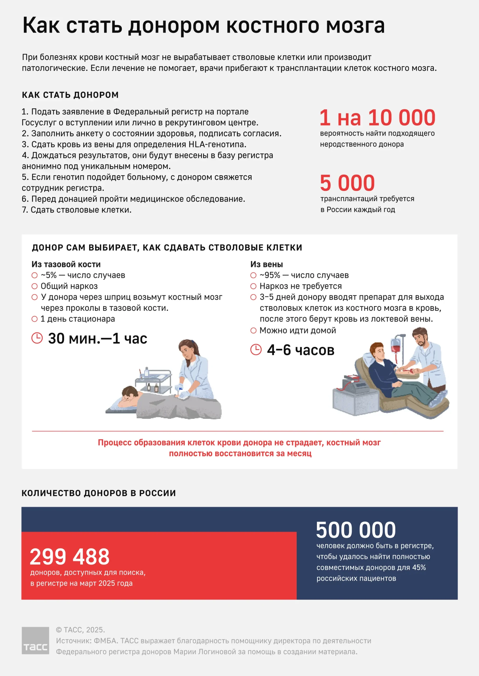 Как и зачем сдавать костный мозг