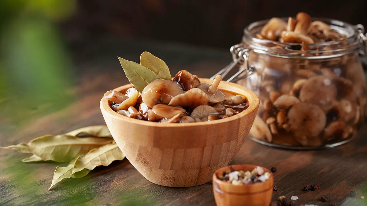 Эксперт Глазков рассказал, когда можно будет собирать зимние опята