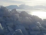 pyotr chumakov akademik ran ob interesnyh virusah vechnoj merzloty-mynewton-ru-0