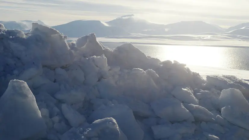 Академик Чумаков: в вечной мерзлоте были открыты очень интересные вирусы