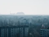 chernobylskaya zona otchuzhdeniya  priyut dlya dikih zhivotnyh-mynewton-ru-0