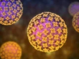 hantavirus mnenie ekspertov mgu i permskogo politeha-mynewton-ru-0