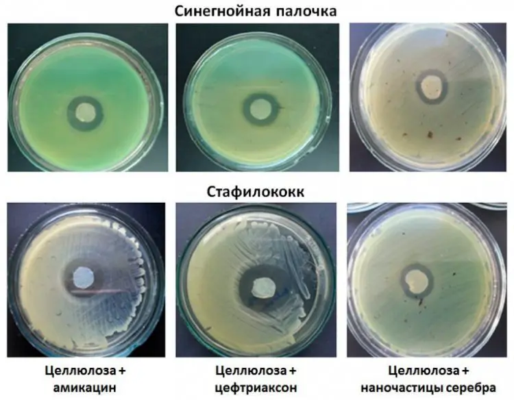 scientificrussia.ru