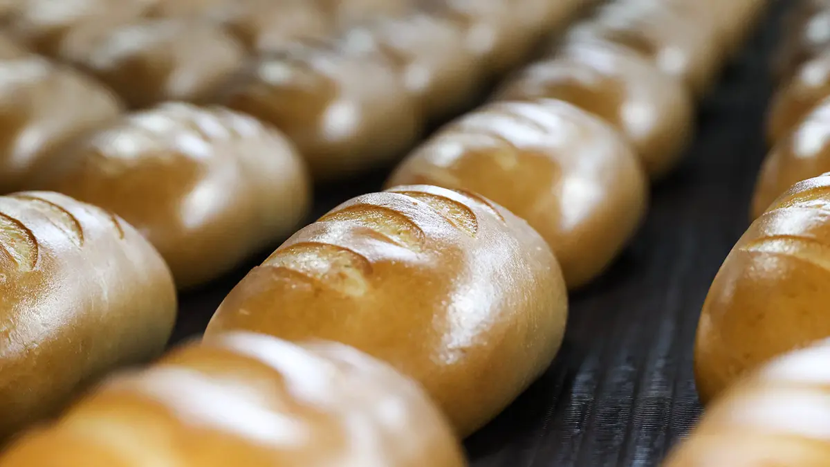Conversation: Античная средиземноморская диета держалась на хлебе