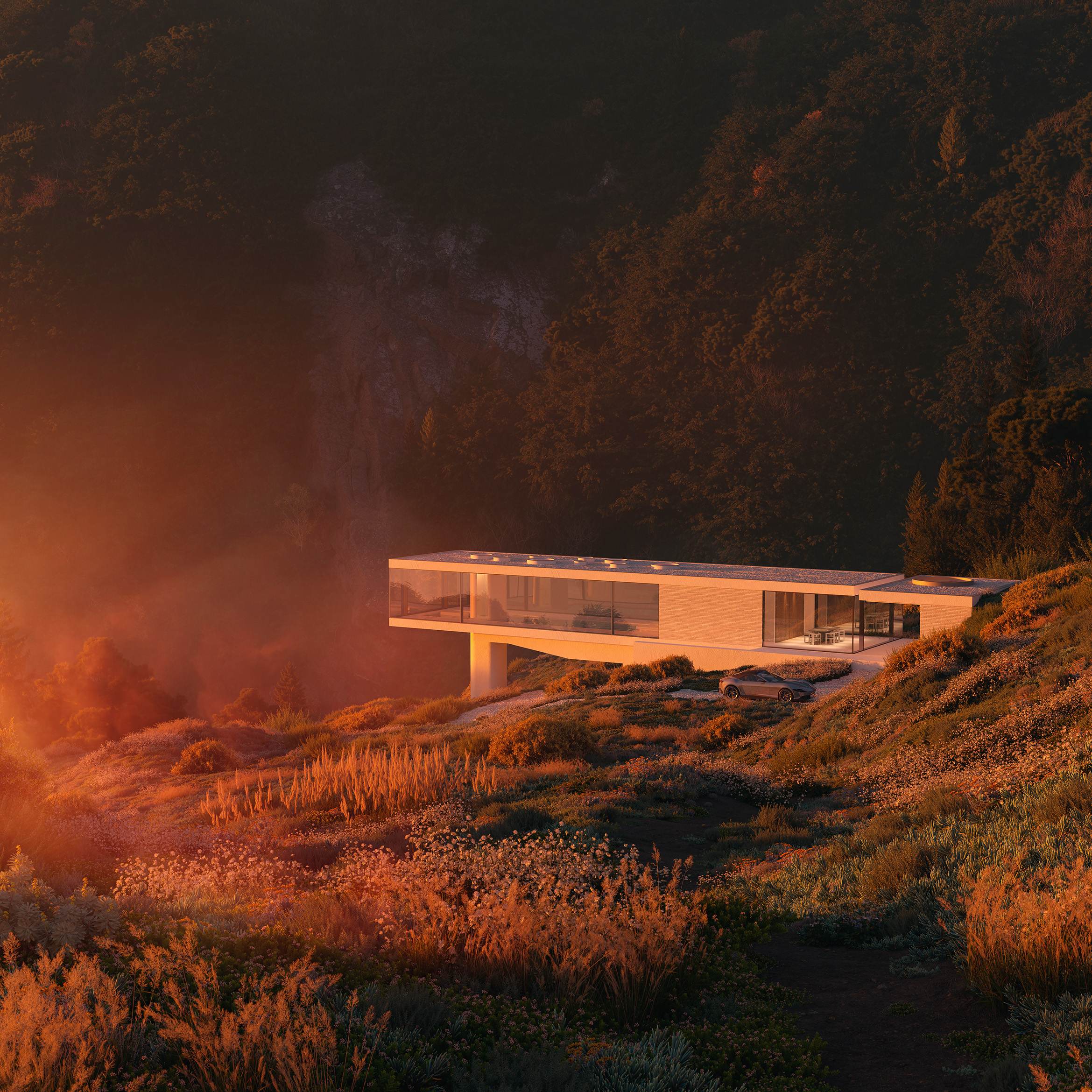 Pulsus Architects