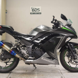 Kawasaki NINJA250ABS