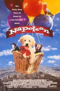 Постер: Наполеон