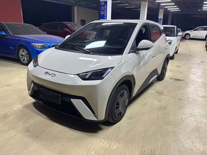 BYD Seagull 2024 rong yao ban 305km zi you ban
