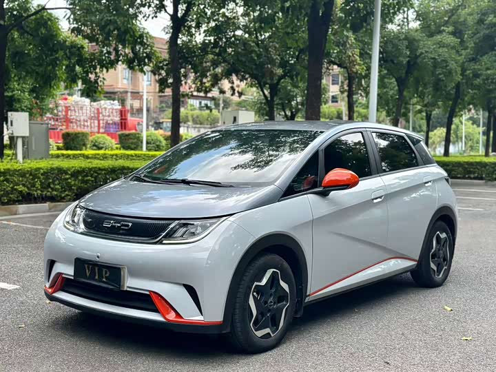 BYD Dolphin 2021 405km zi you ban
