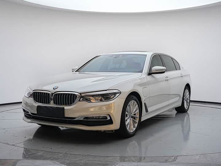BMW 5 Series xin neng yuan 2019 530Le hao hua tao zhuang