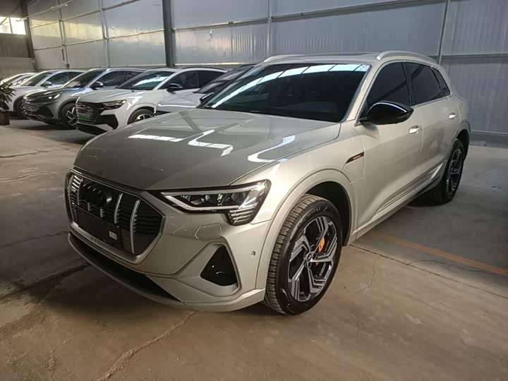 Audi e-tron 2021 50 quattro zhen xuan xing