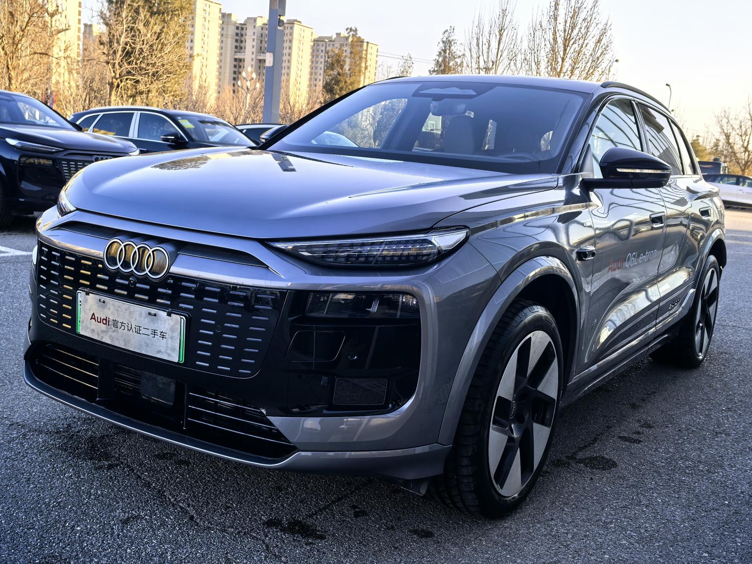 Audi Q6L e-tron 2026 shou fa ling hang ban