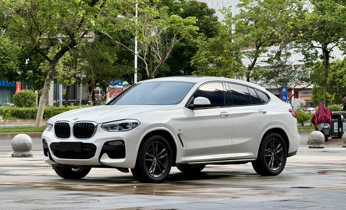 BMW X4 2019 xDrive25i M Sport package
