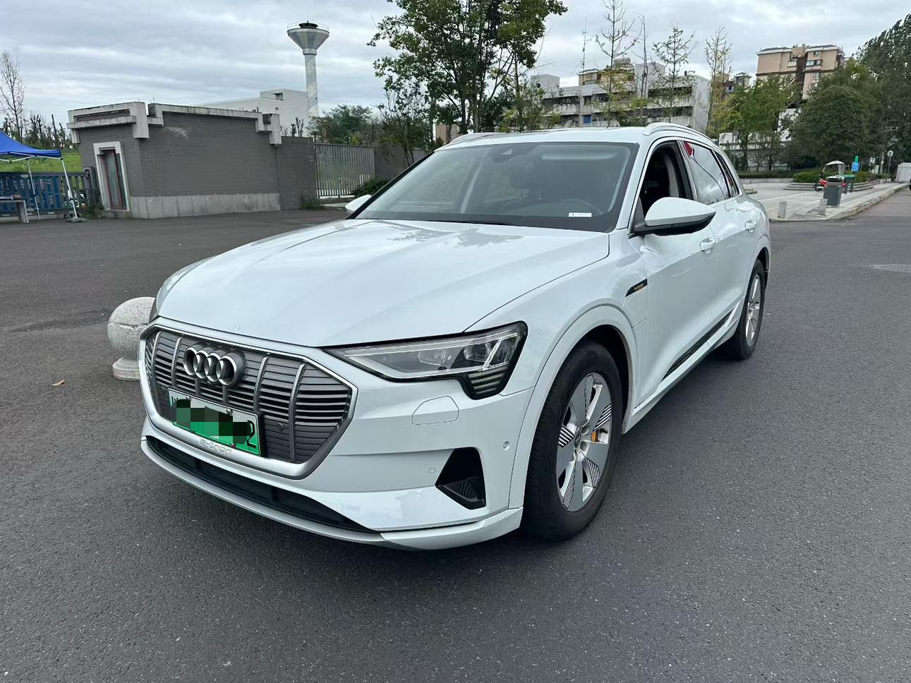 Audi e-tron 2019 55 quattro Style