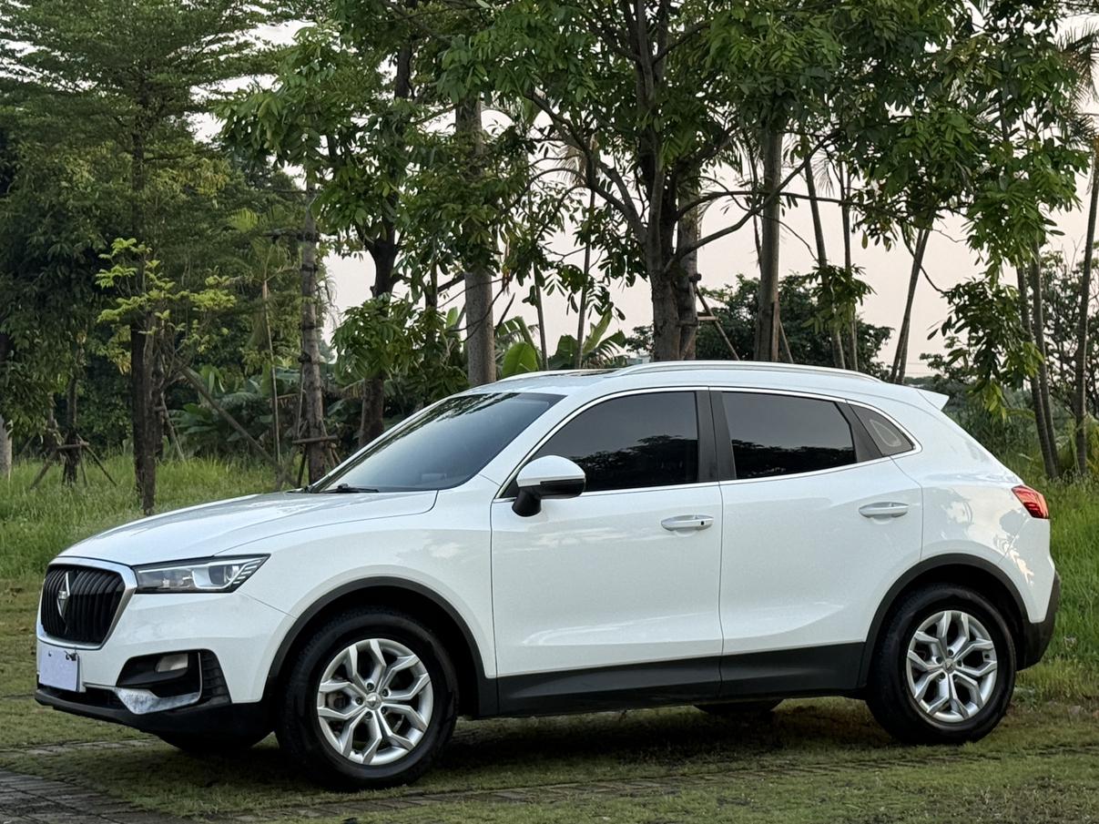 Borgward BX5 2017 20TGDI АКПП liang qu xian feng xing