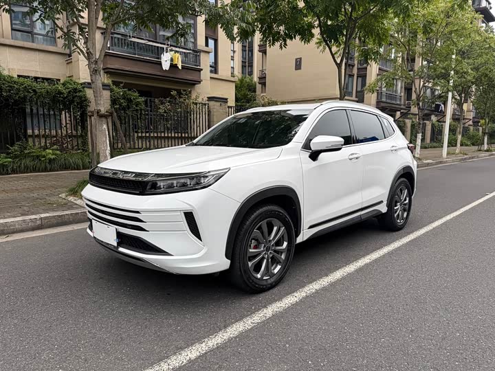 Exeed LX 2020 cheng feng po lang ban 1.5T CVT xing rui ban