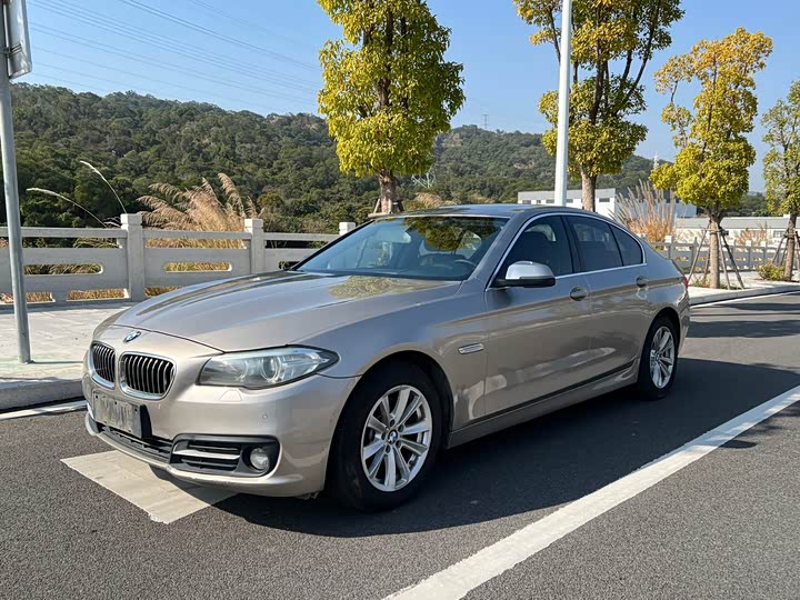 BMW 5 Series 2014 520i dian ya xing