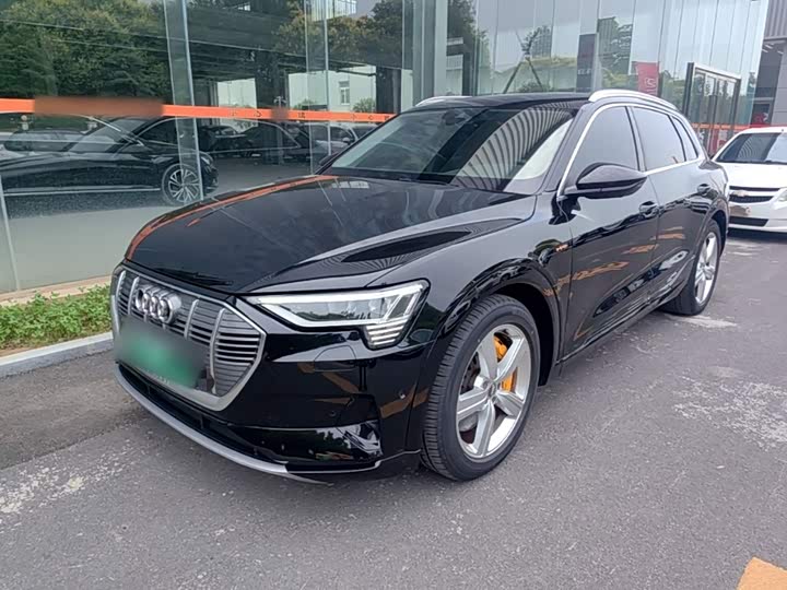 Audi e-tron 2019 55 quattro Style