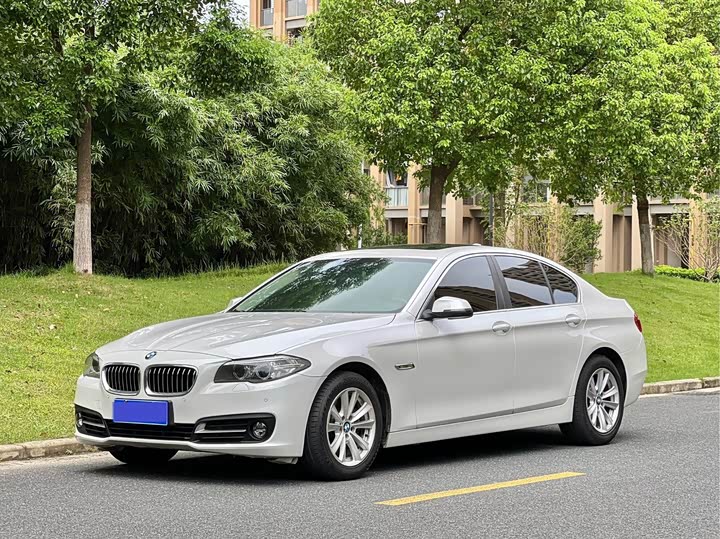 BMW 5 Series 2015 520i dian ya xing