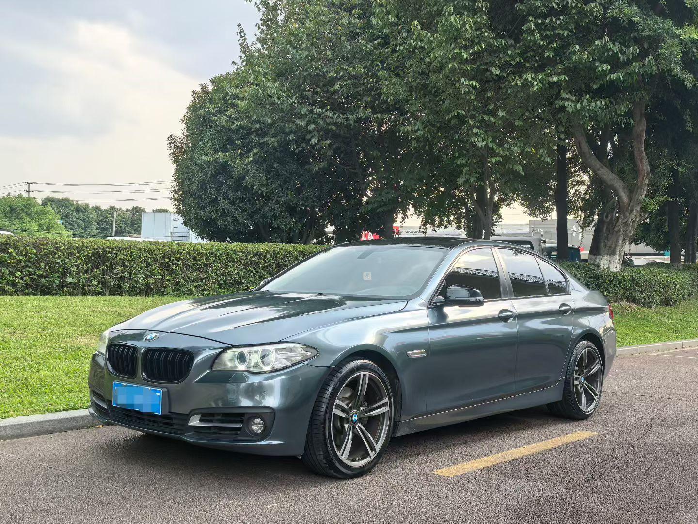 BMW 5 Series 2015 520i dian ya xing