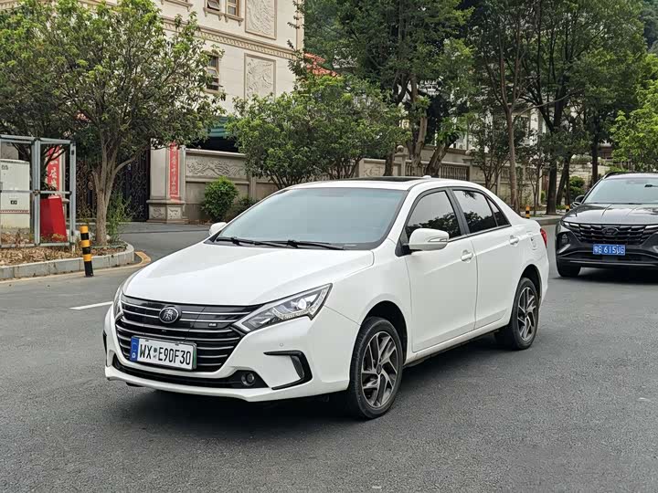 BYD Qin 2018 Qin EV450 zhi lian feng shang xing